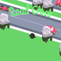 Road Crosser Image