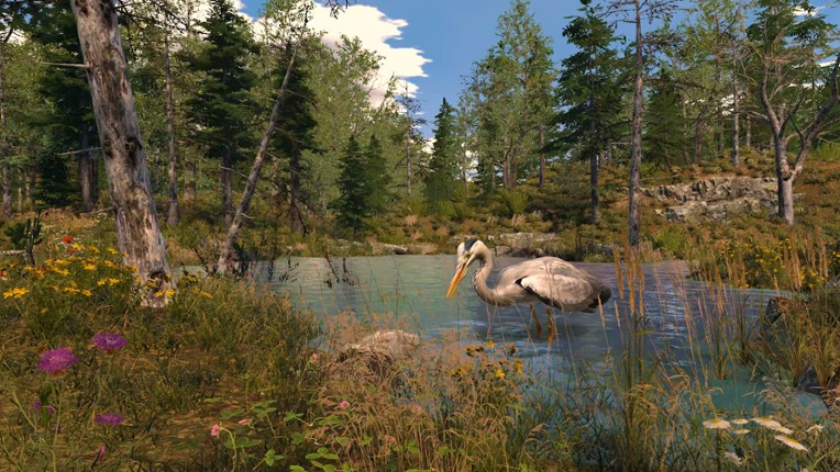 Capture The Wild Image