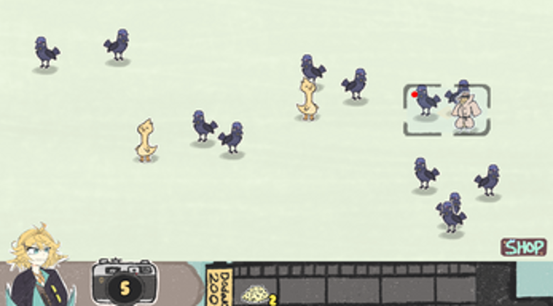 Doki's Bird Watching Image