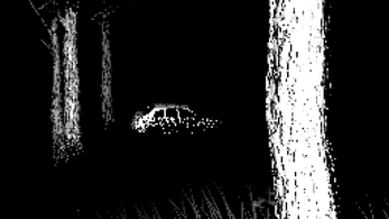 He Comes Once Image