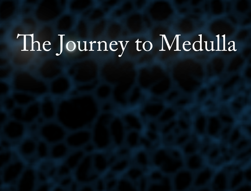 Games like The Journey To Medulla