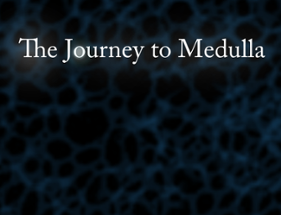 The Journey To Medulla Image