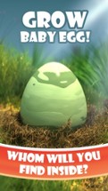 Grow Baby Egg HD Image