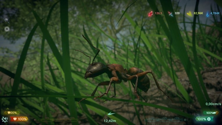 Insect Worlds screenshot