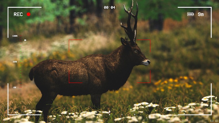 Capture The Wild screenshot