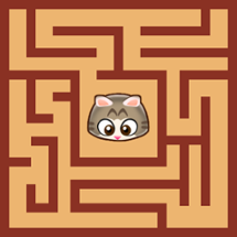 Maze Cat - Rookie Image