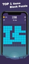 Block Puzzle 100 Image