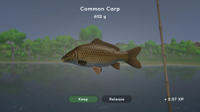 Fishing Spot Image