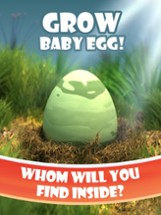 Grow Baby Egg HD Image