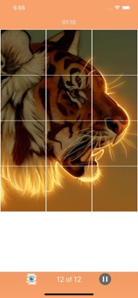 Puzzle ⁺ screenshot