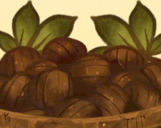 The Nut Madness Image