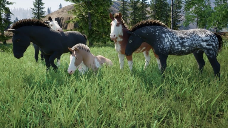 Wild Kingdom screenshot