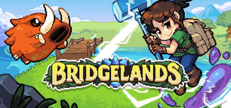 Bridgelands Image