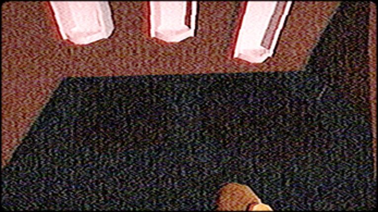 Cleaning-Madness Image