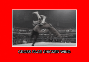 Cross Face Chicken Wing Image