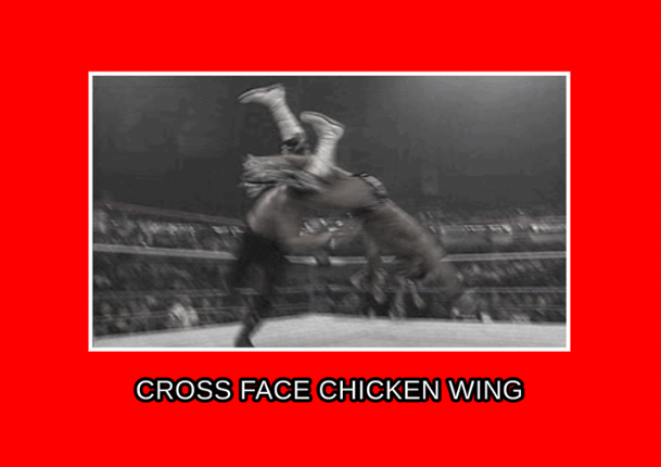 Cross Face Chicken Wing Game Cover