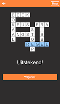Kruiswoordpuzzel Nederlands screenshot