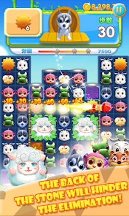 Pet Mania screenshot