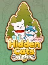 Hidden Cats: Winter Image