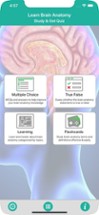 Learn Brain Anatomy Image