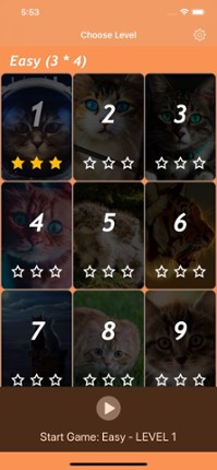 Puzzle ⁺ screenshot