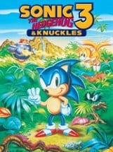 Sonic the Hedgehog 3 & Knuckles Image