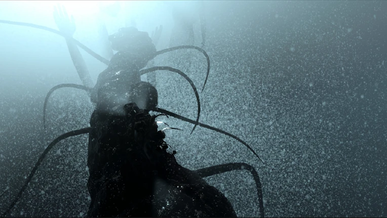 The Shimoda Rift Image