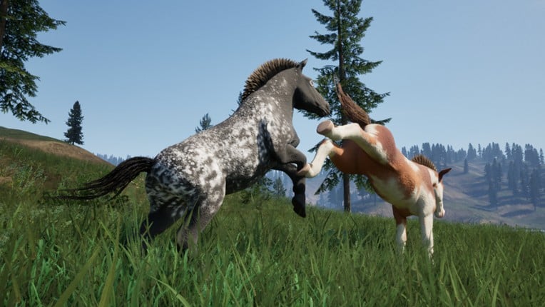 Wild Kingdom screenshot