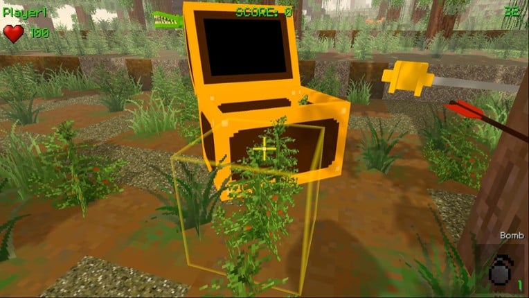 BlockRoxx Pirates Image