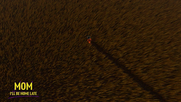 Mom, I'll Be Home Late Image