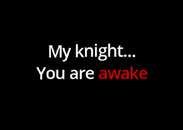 The Last Flame Image