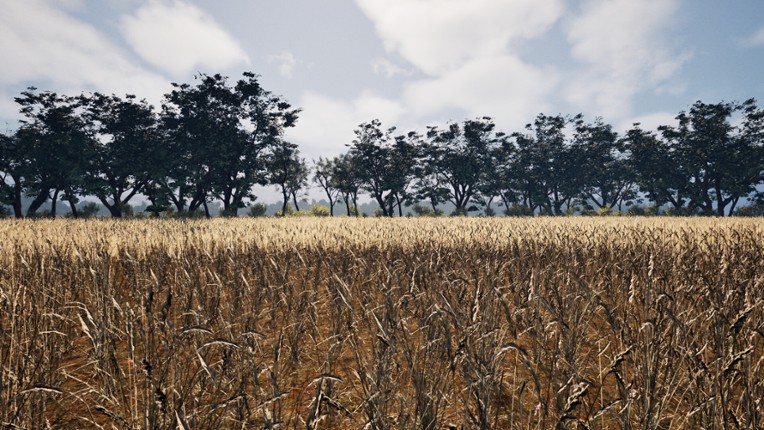 Deep in the Fields screenshot