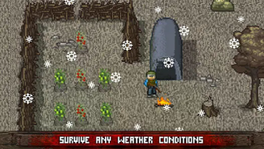 Mini DAYZ: Zombie Survival Image