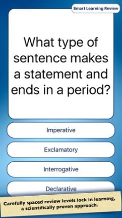 Grammar & Punctuation screenshot