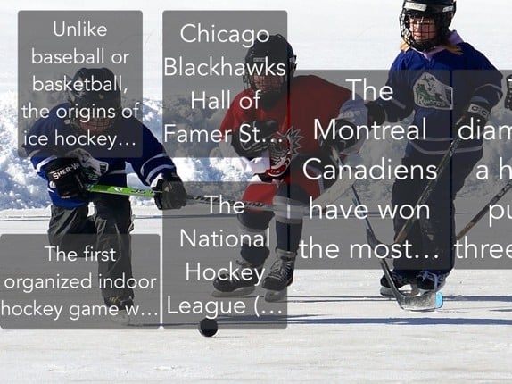 Hockey Trivia App Image