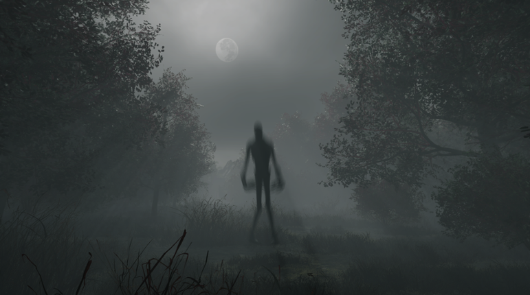 Whispering Fog Image