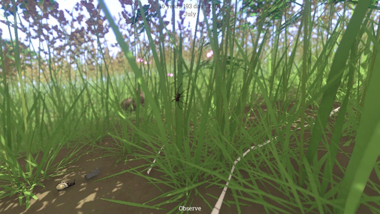 Grow Wild screenshot