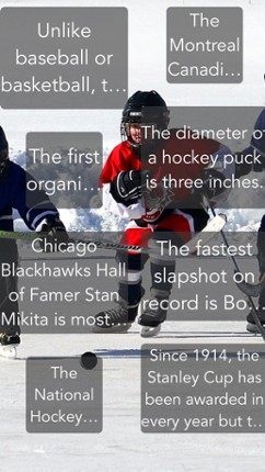 Hockey Trivia App Image