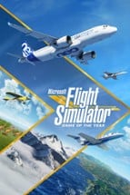 Microsoft Flight Simulator Image