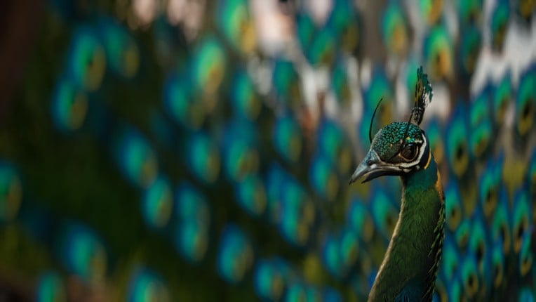 Son of Thanjai screenshot