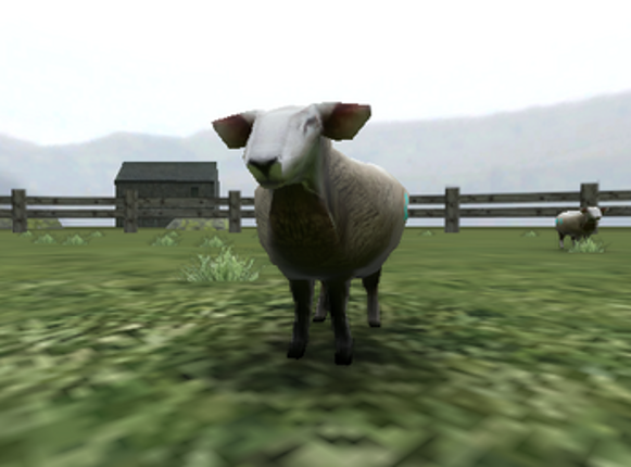 CrazyCattle3D screenshot