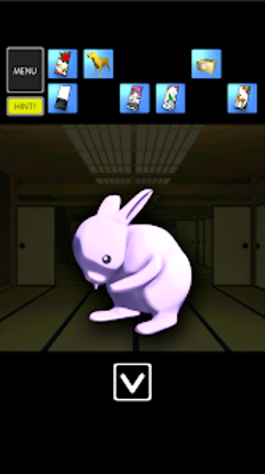 Escape Japanease Hanafuda Room Image