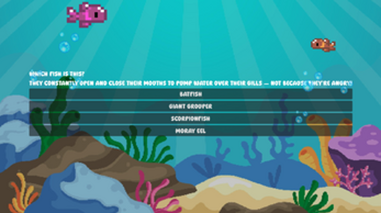 Ocean Explorer Image