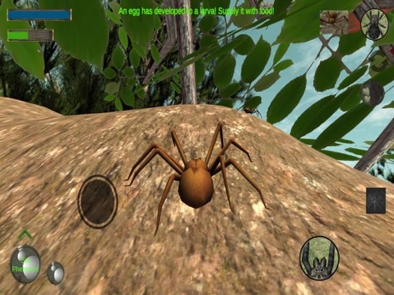 Spider Colony Simulator screenshot