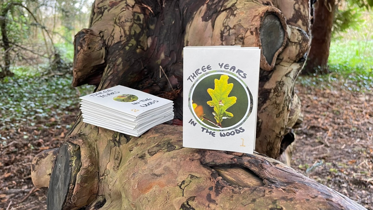 Games like Three Years in the Woods