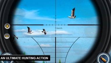 Bird Shooting Adventure Image