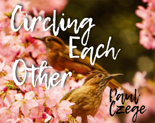 Games like Circling Each Other