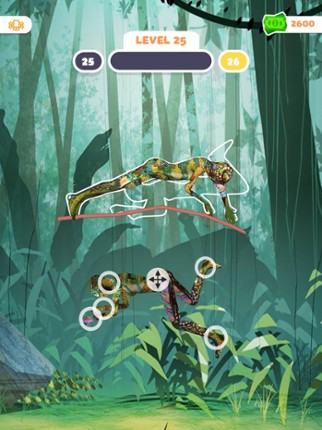 Ragdoll Puzzle Image