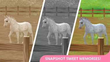 Star Stable Horses Image