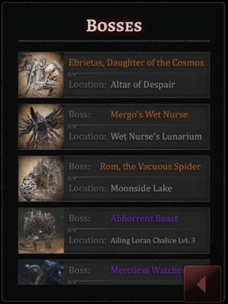 Game Guide for Bloodborne screenshot